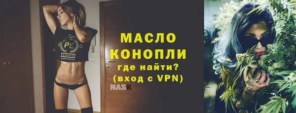 амф Верхний Тагил