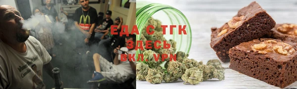 амф Верхний Тагил