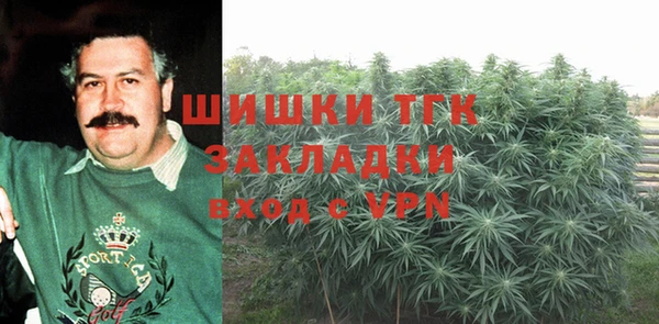 амф Верхний Тагил