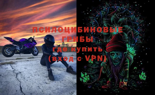 амф Верхний Тагил